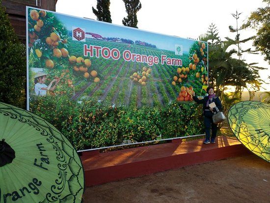 HTOO Orange Farm