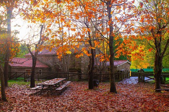 Área recreativa Molino de Pedroso