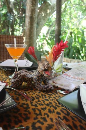 Bajlum e la Nueva Cocina Prehispanica