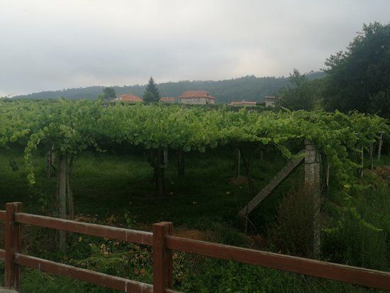 Lores Ruta de los Molinos