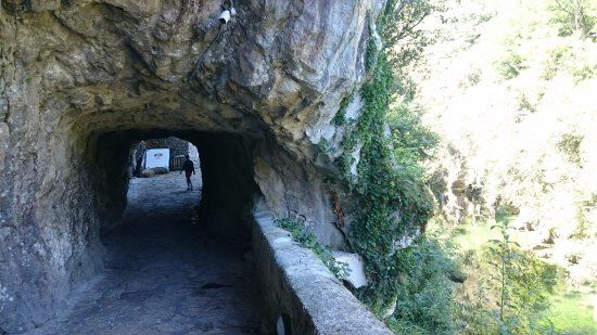 Fundación Cabrales Cueva Exposición Queso Cabrales