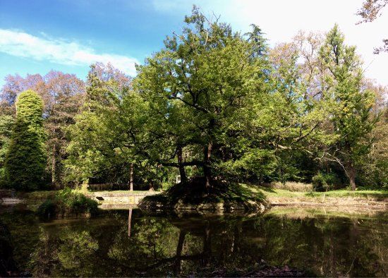 Zugdidi Botanical Garden