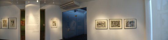 Museo De Bellas Artes Octavio De La Colina