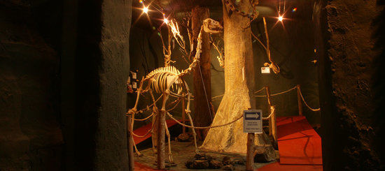 El Museo de Esqueletología