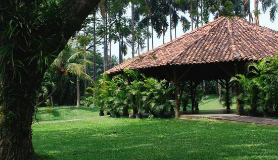 Orquideorama Enrique Pérez Arbelaer