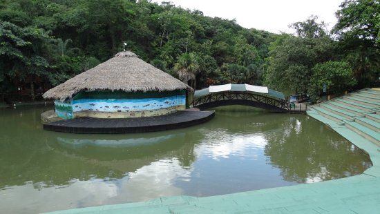 Bioparque los Ocarros