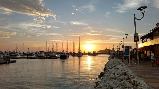 el Paseo El Camellon