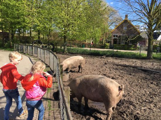 Stichting Milieu Educatie en Kinderboerderij