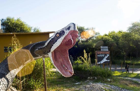 Serpentario Machaqway