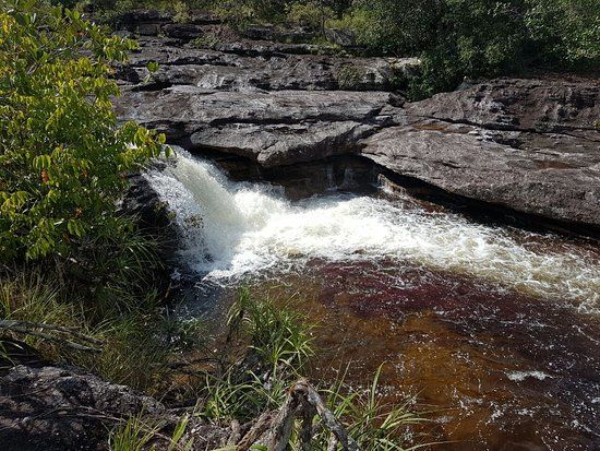 Canocristales_la_macarena
