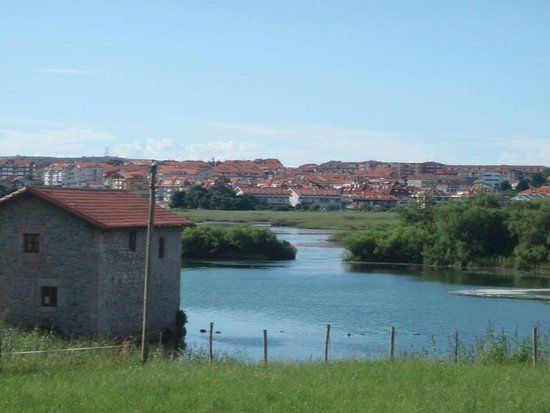 El molino de las aves