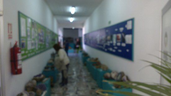 Museo de Geociencias