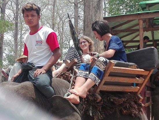 Pho Kyar Elephant Camp