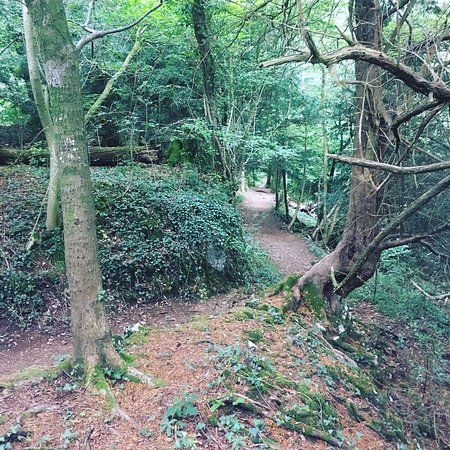 Wye Valley Walk