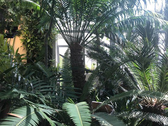 The Botanical Garden