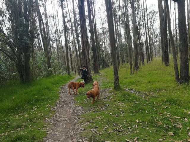 Parque Metropolitano Guangüiltagua