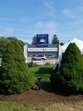Chatham Shark Center