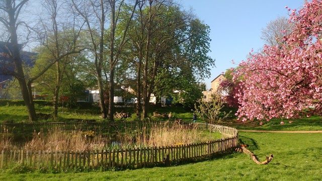 Putt In The Park Acton