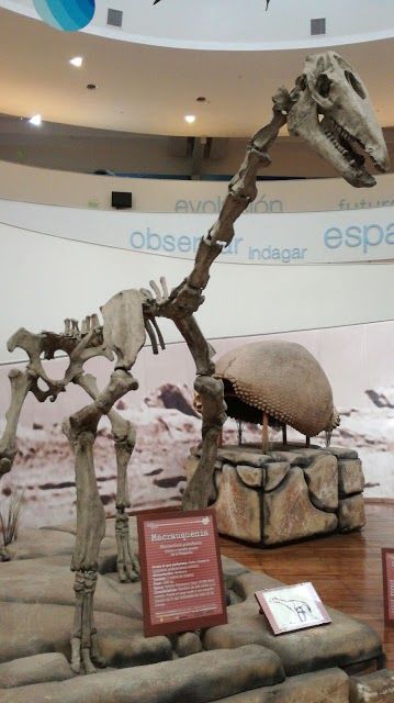 Museo de Ciencias Naturales Arturo Illia