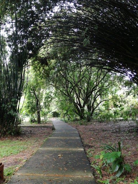 Jardín Botánico CATIE