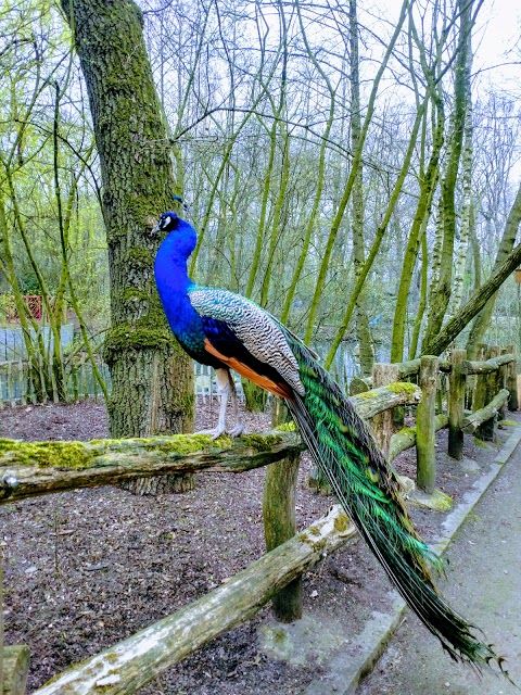 Kaisergarten Park and Zoo