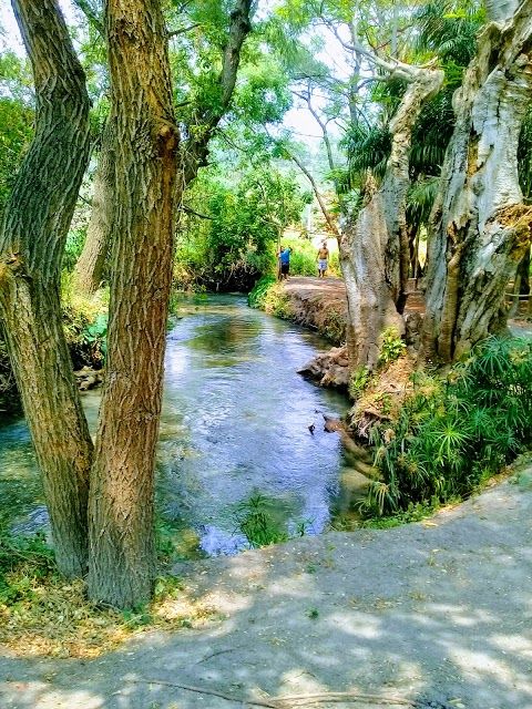 Balneario Los Sauces
