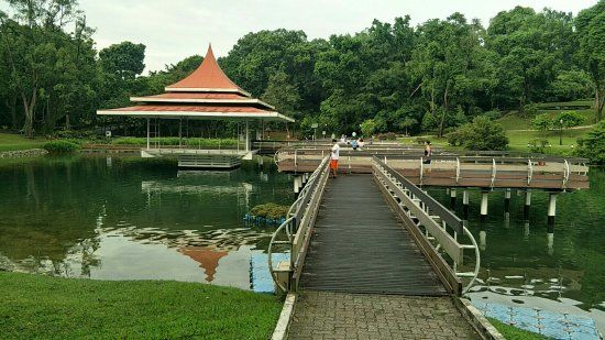 Embalse MacRitchie