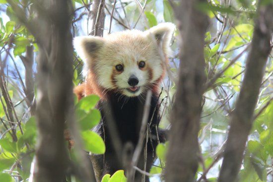 Zoológico de Wellington