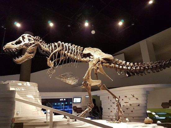 Museo de la Mente de Taguig