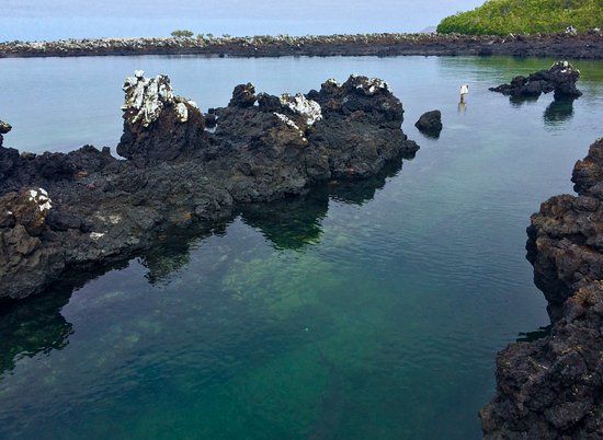 Islote Las Tintoreras