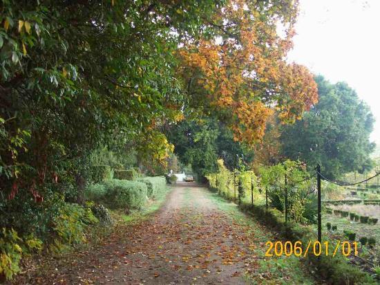 Coto de Nuestra Señora del Carmen