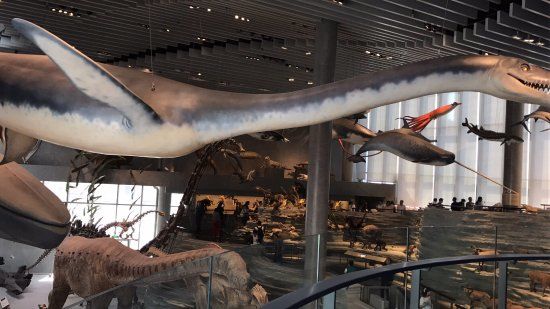 Museo de Historia Natural de Shanghái