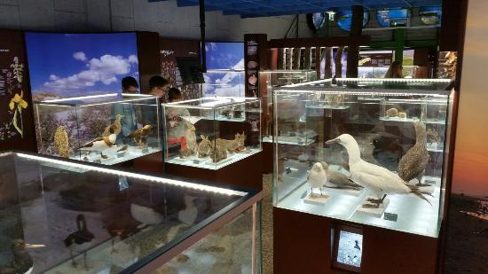 Centrum voor Natuur en Landschap