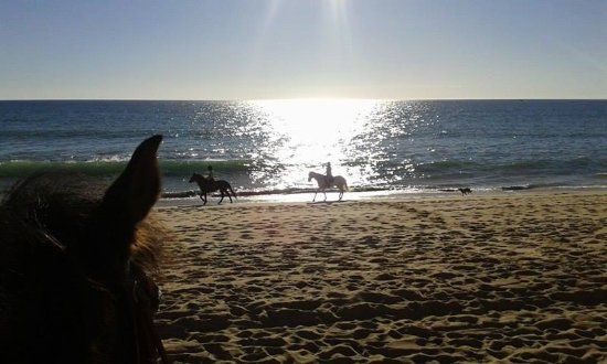 Clube Equestrian A Palmeirinha