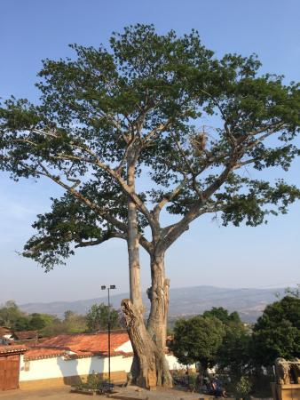 el Monumento al Buey