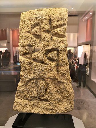 Universidad Americana de Beirut