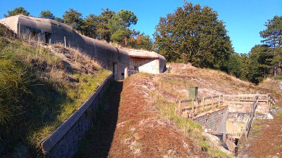 Bunker De Tiger Museum