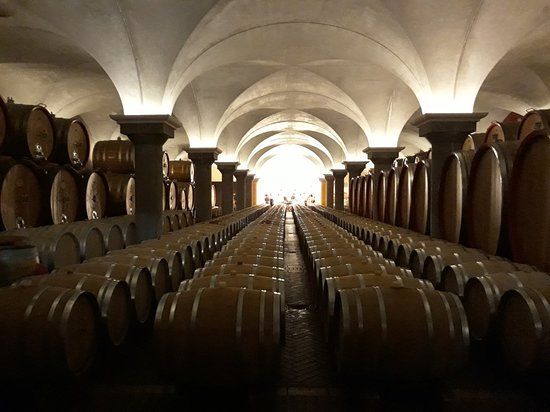 Cantina Zeni e Museo del Vino