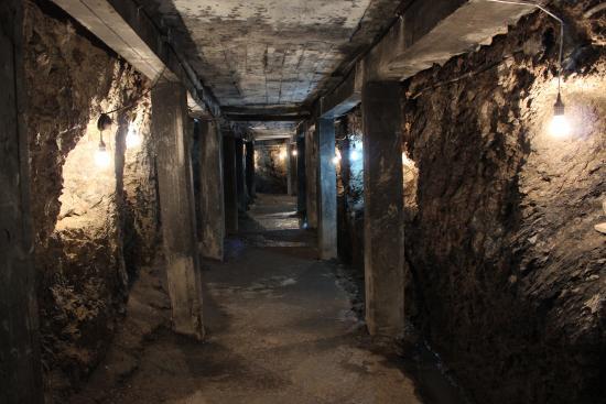 el Museo de la Plata