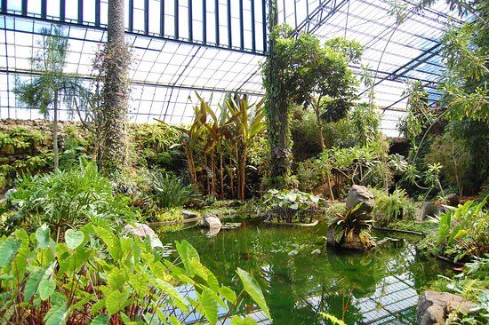 Estufa Fría de Lisboa