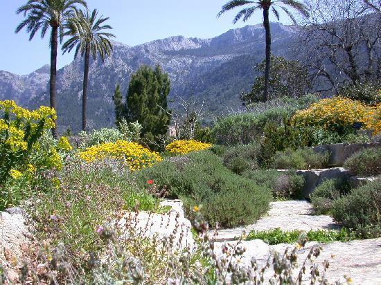 Jardín Botánico de Soller