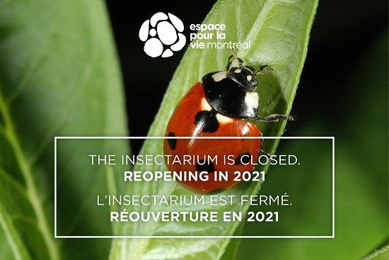 Insectarium de Montreal