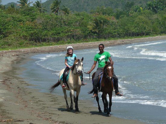 el Centro Ecuestre Ammann