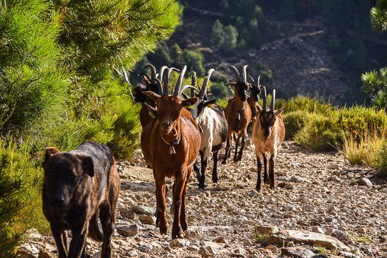 Parque Natural de Alvao