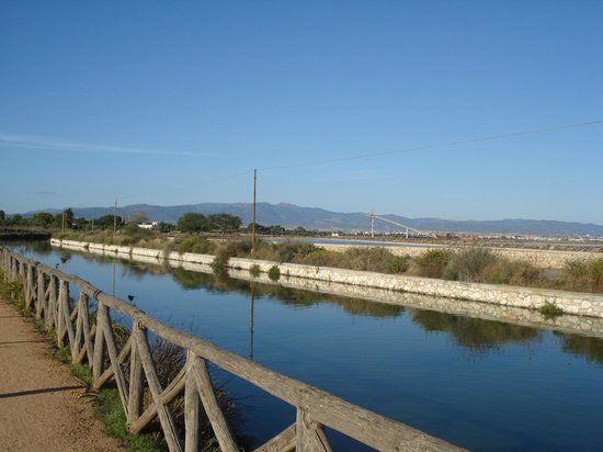 Parque Natural de Molentargius