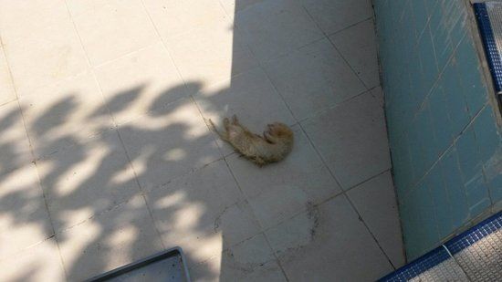 Sile Hayvanat Bahcesi