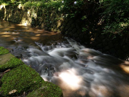 Parque Ravine de Todoroki