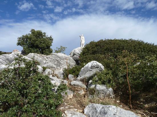 Sierra De Las Nieves
