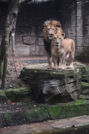 Zoológico de Bandung