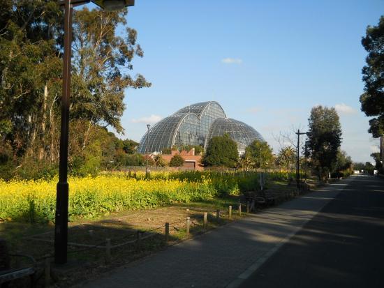 Parque de Yumenoshima